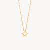 Blush 3151YGO bijoux en or 14 carats. Chaine délicate avec un pendentif étoile.